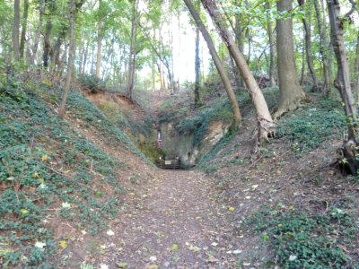 Bemelen-Mariagrot (1)