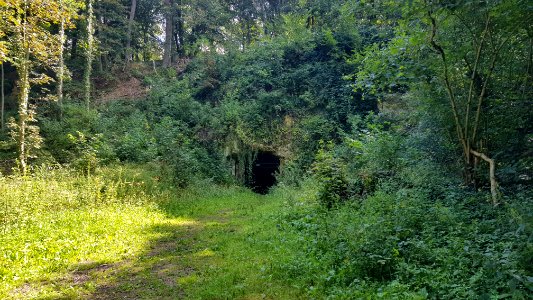 Bemelen-Koelebosgroeve (4)