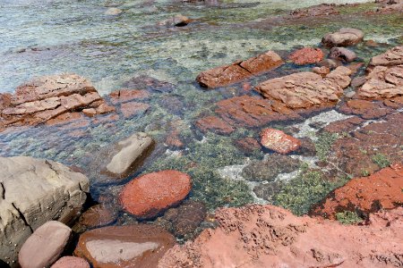 Ben Boyd National Park, New South Wales 20