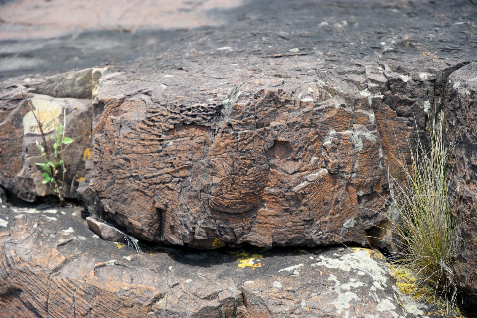 Ben Boyd National Park, New South Wales 31
