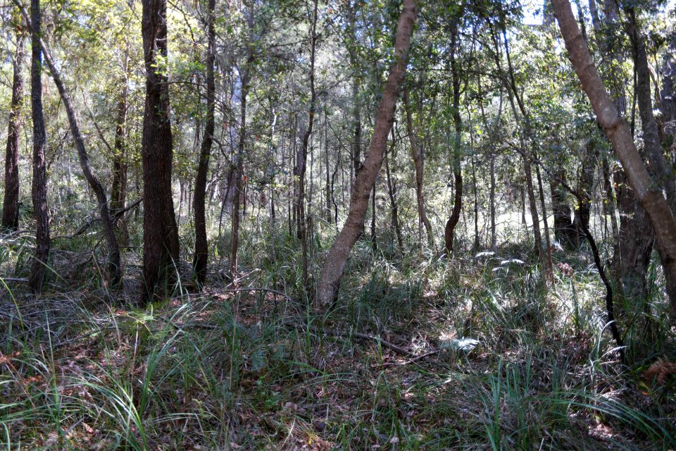 Ben Boyd National Park, New South Wales 47
