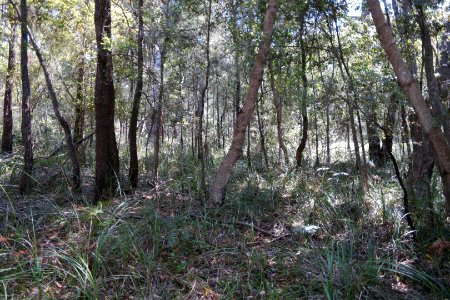 Ben Boyd National Park, New South Wales 47