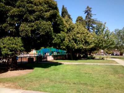 Belvedere Park, California 2