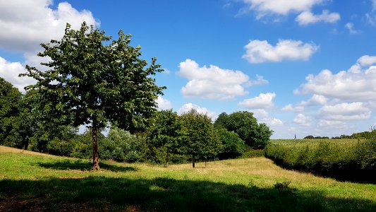 Bemelen-Grindgroeve Krekelberg (8)