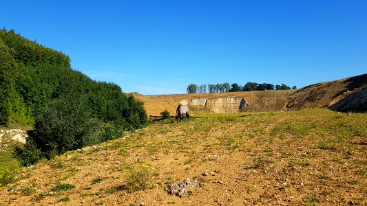 Bemelen-Groeve 't Rooth (29)