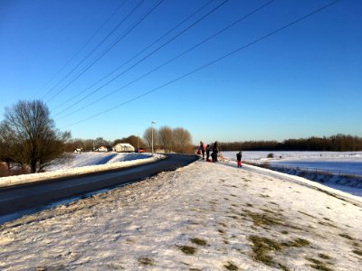 Bemmelse Waaldijk in de winter