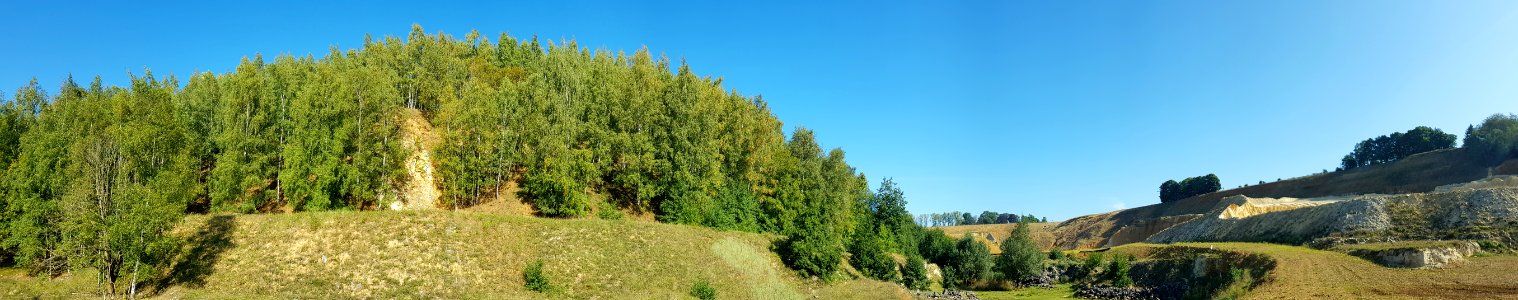 Bemelen-Groeve 't Rooth (15)