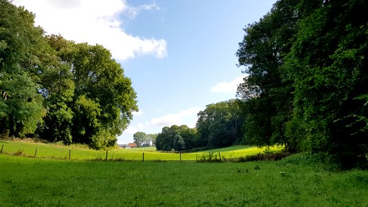 Bemelen-vallei bij Schoorberggroeve II (1)