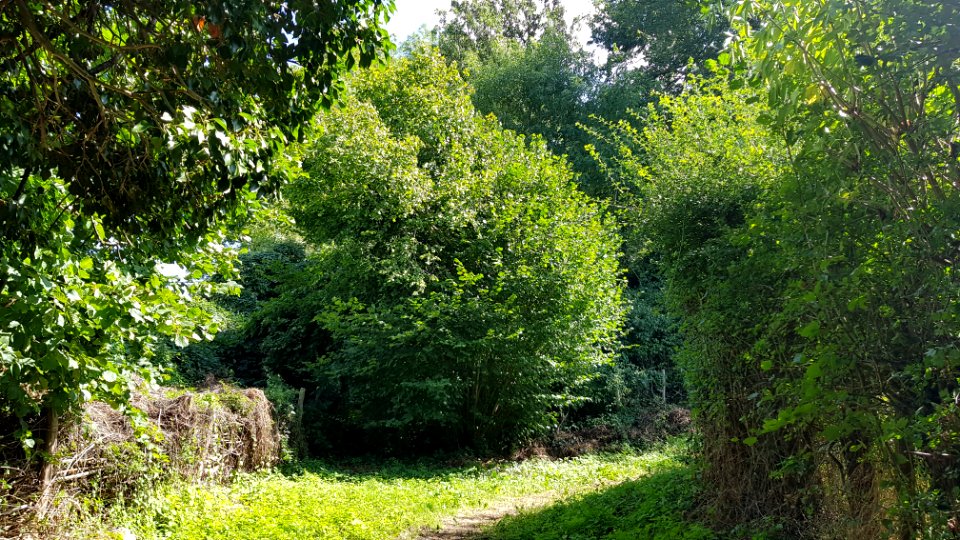 Bemelen-Groeve Onder de weg (1)