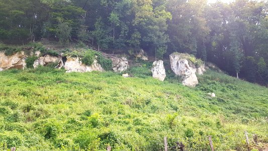 Bemelen-Mettenberggroeve III (3)