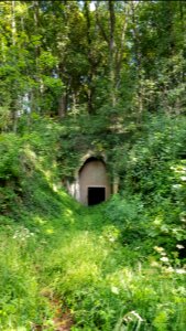 Bemelen-Mettenberggroeve V (6)