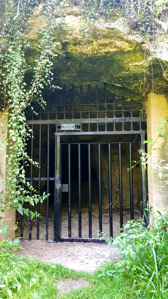 Bemelen-Koelebosgroeve (3)