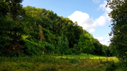 Bemelen-Schoorberggroeve II (9)