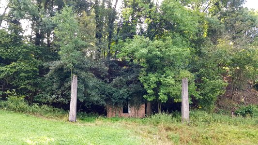 Bemelen-Schoorberggroeve II (8)