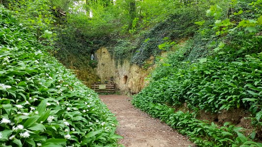 Bemelen-Mariagrot (21)