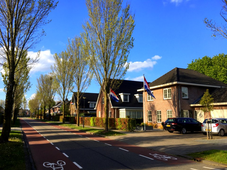 Bemmel - Parksingel (a street in the residential area of Klaverkamp)