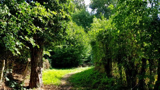 Bemelen-Groeve Onder de weg (2)