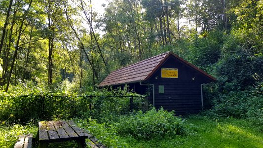 Bemelen-Groeve 't Rooth (59)