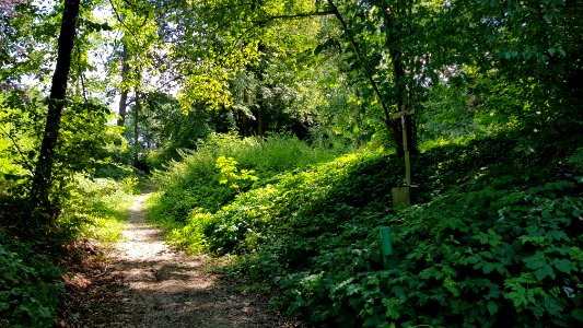 Bemelen-wegkruis Bemelerbosch (3)