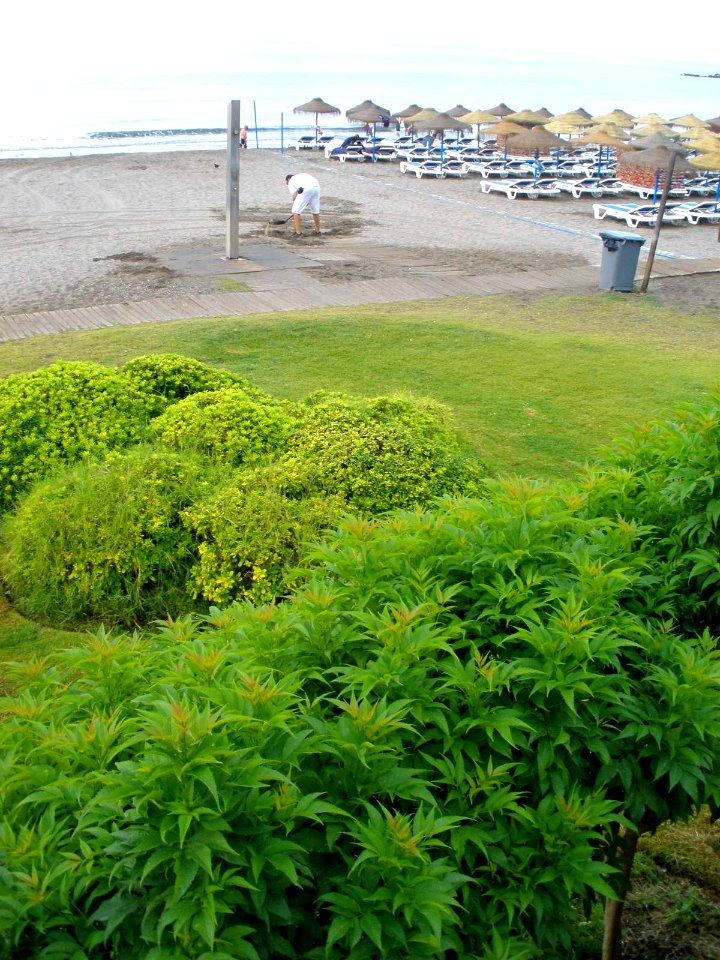Benalmádena - Playas 15