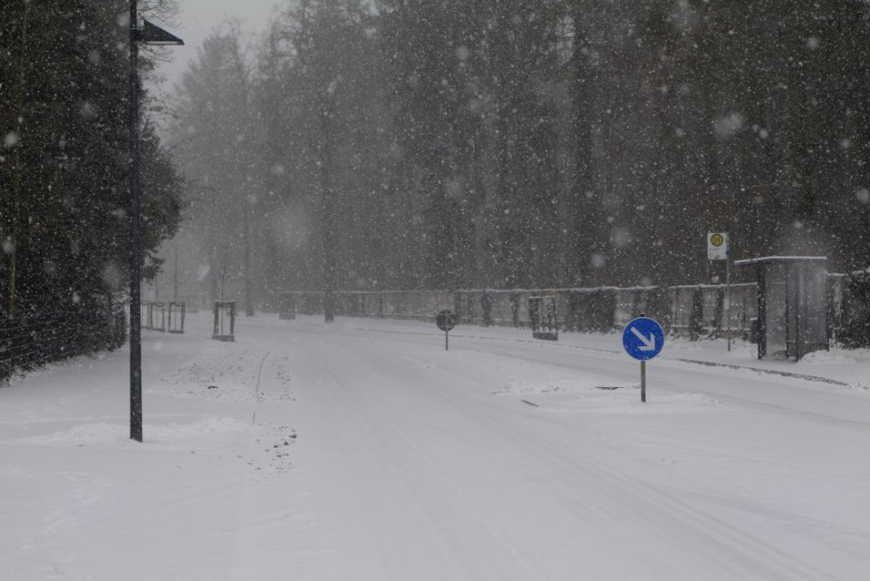 Beelitz-Heilstätten with snow 2021-02-07 12