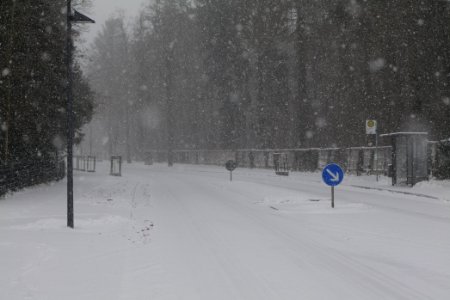 Beelitz-Heilstätten with snow 2021-02-07 12