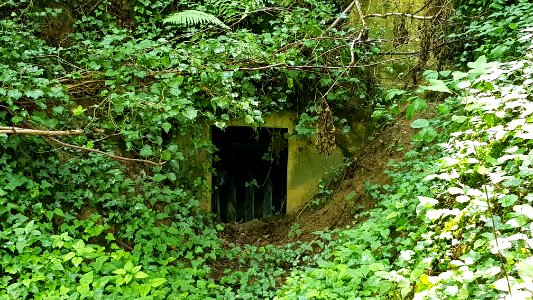 Bemelen-Nevenkoelebosgroeve (5)