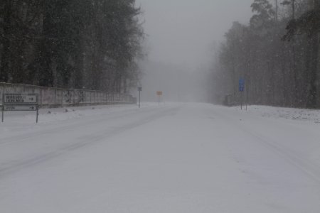 Beelitz-Heilstätten with snow 2021-02-07 16