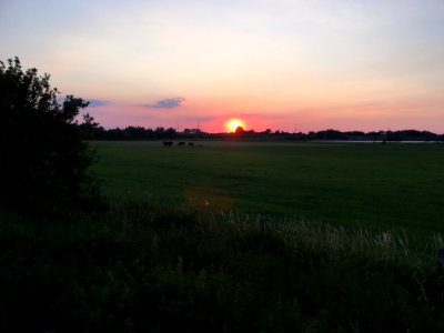 Bemmely Hills sunset photo