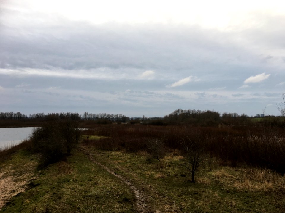 Bemmelse Waard (winter)