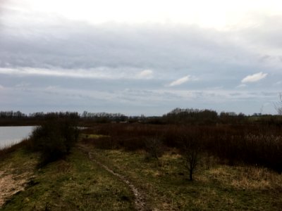 Bemmelse Waard (winter)