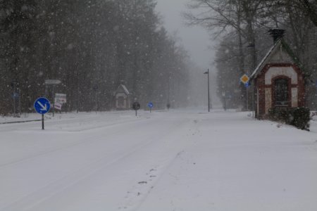 Beelitz-Heilstätten with snow 2021-02-07 07