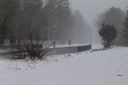 Beelitz-Heilstätten with snow 2021-02-07 02