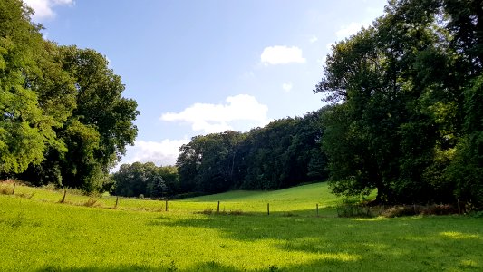 Bemelen-vallei bij Schoorberggroeve II (3)