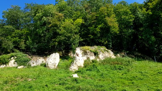 Bemelen-Mettenberggroeve III (4)