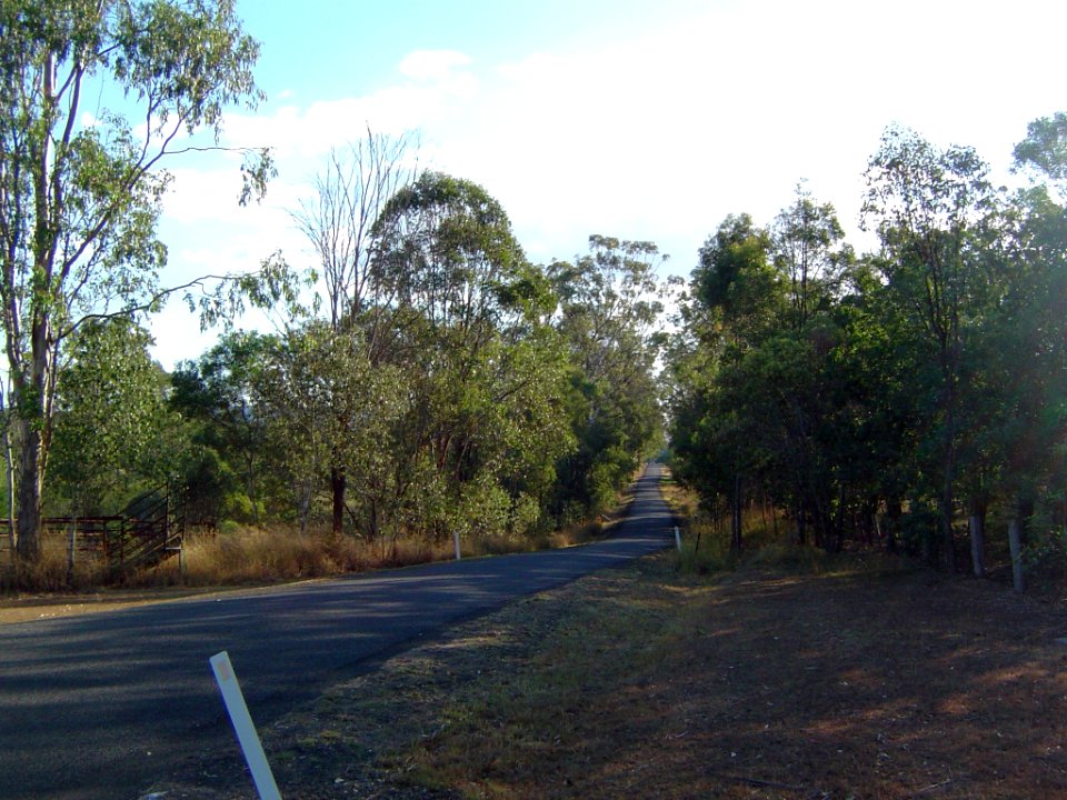 Beethams Road Ironbark