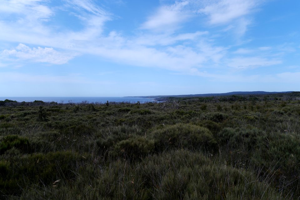 Ben Boyd National Park, New South Wales 04