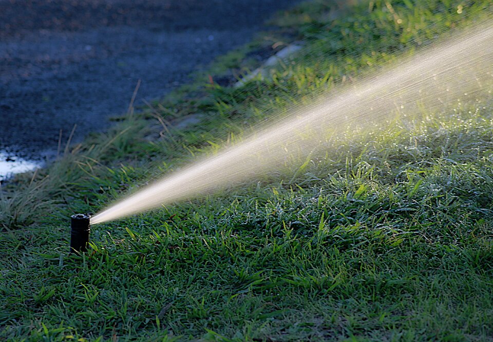 Garden summer irrigation