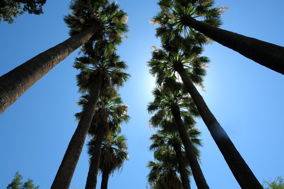 Summer tropical vacation
