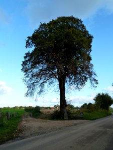Bemelen-wegkruis splitsing Bemelerberg - Weg achter Gasthuis (1)