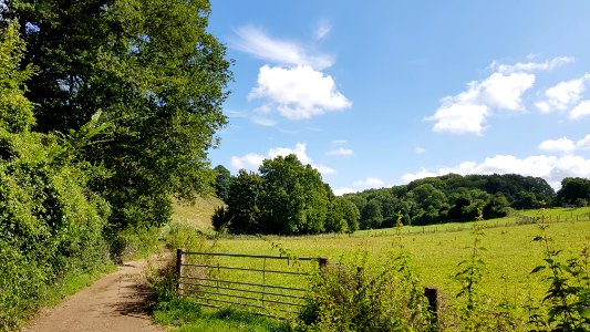 Bemelen-Winkelberggroeve (1)