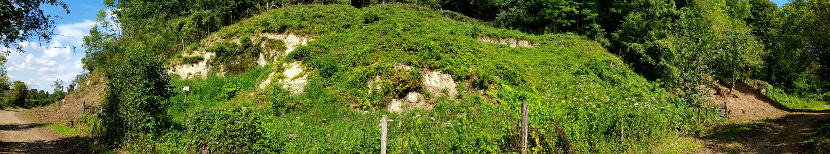 Bemelen-Mettenberggroeve IV (8)