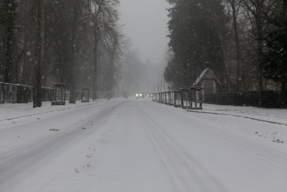 Beelitz-Heilstätten with snow 2021-02-07 09