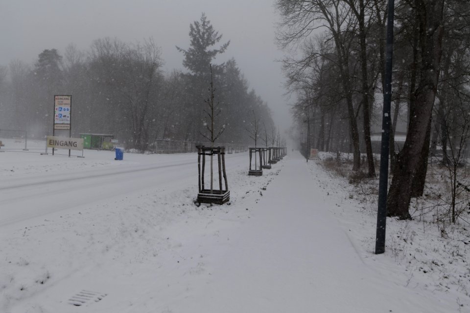Beelitz-Heilstätten with snow 2021-02-07 13