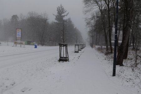 Beelitz-Heilstätten with snow 2021-02-07 13