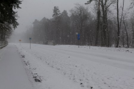 Beelitz-Heilstätten with snow 2021-02-07 19