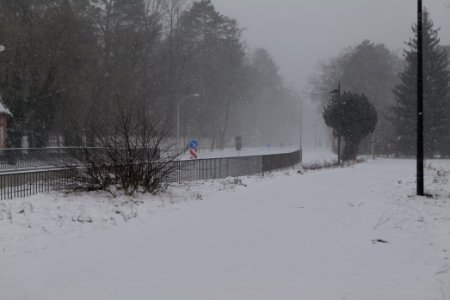 Beelitz-Heilstätten with snow 2021-02-07 03