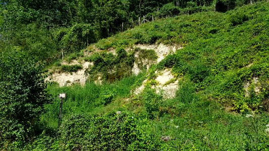 Bemelen-Mettenberggroeve IV (6)