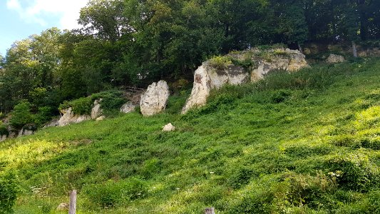 Bemelen-Mettenberggroeve III (5)