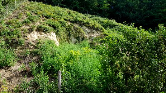 Bemelen-Mettenberggroeve IV (4)